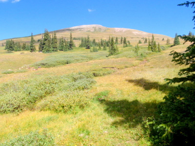 A view of Greyback Mountain.